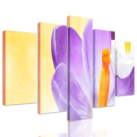 5-dielny obraz nežný šafrán