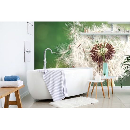 Jedinečná fototapeta detailná púpava