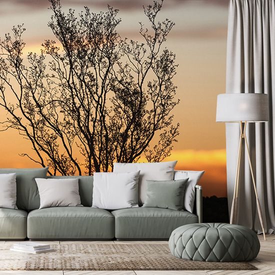 Samolepiaca fototapeta krík pri západe slnka