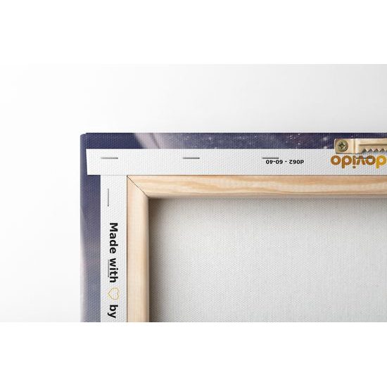 Obraz krásny jeleň v zasneženej krajine