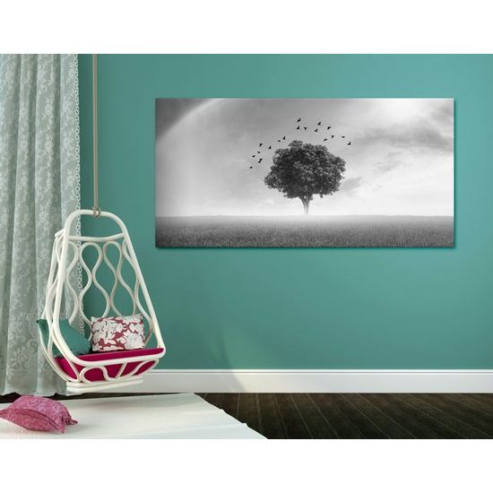 Obraz strom pod dúhou v čiernobielom prevedení