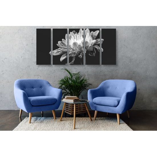 5-dielny obraz zaujímavá sedmokráska v čiernobielom prevedení