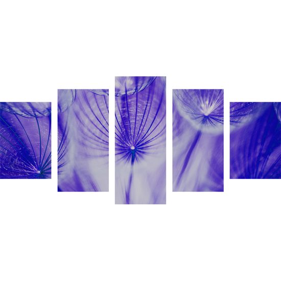 5-dielny obraz abstraktná púpava v fialovom prevedení
