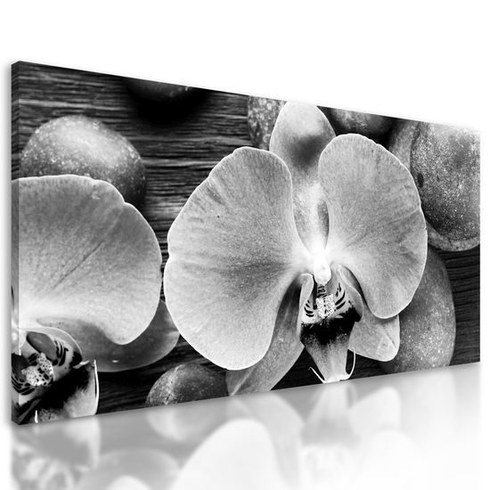 Obraz orchidea a Zen kamene na drevenom pozadí v čiernobielom prevedení