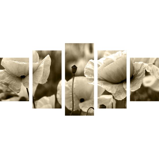 5-dielny obraz jedinečné divé maky v sépiovom prevedení