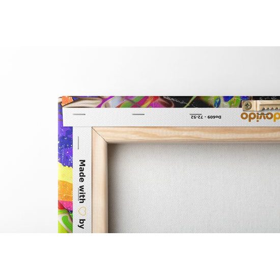 Obraz lev v pestrofarebných farbách