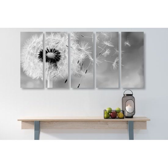 5-dielny obraz čiernobiela púpava vo vetre