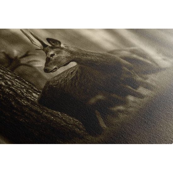 Obraz mladý jeleň uprostred lesa v sépiovom prevedení