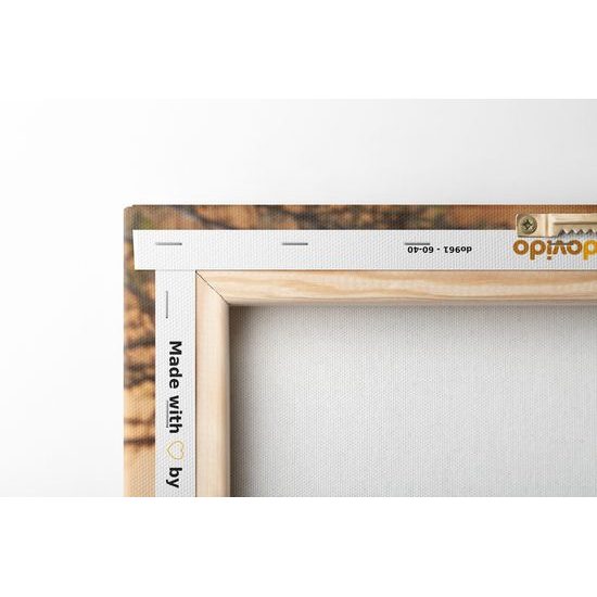 Obraz antilopa v africkej savane