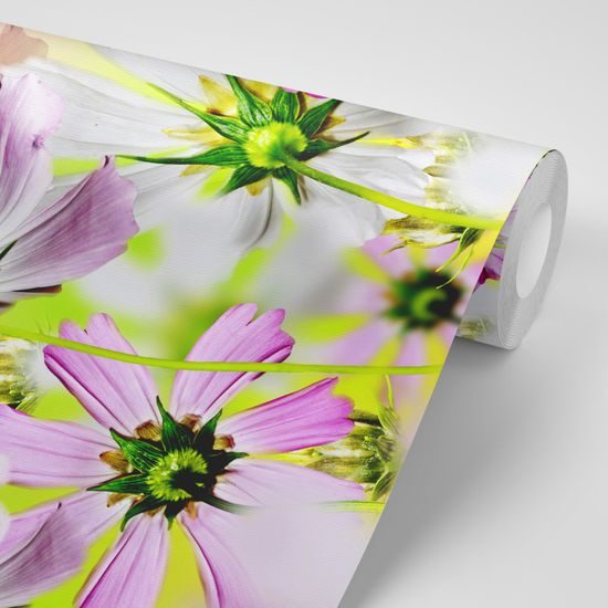 Tapeta jemnosť kvetov