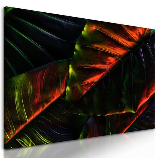 Obraz nádherné palmové listy