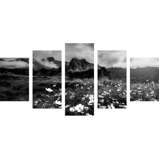 5-dielny obraz rozkvitnutá lúka v čiernobielom prevedení