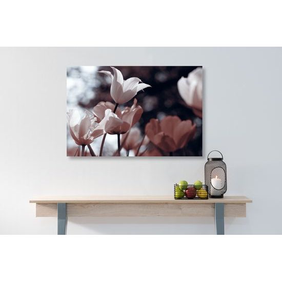 Obraz jemné tulipány pri lese