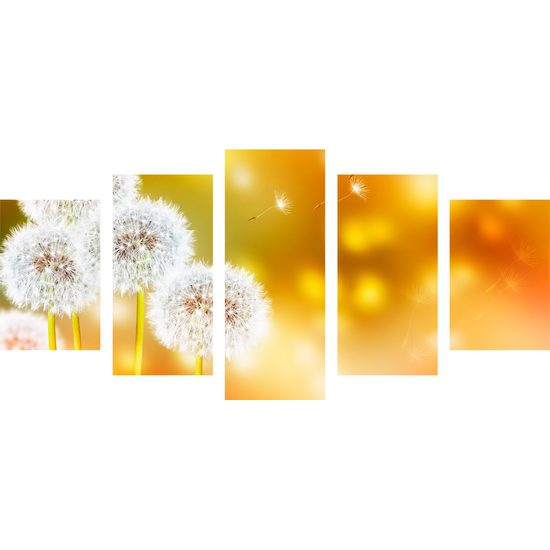 5-dielny obraz rozkvitnutá púpava