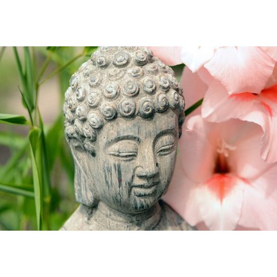 Obraz socha Budhu v kvetinovej záhrade