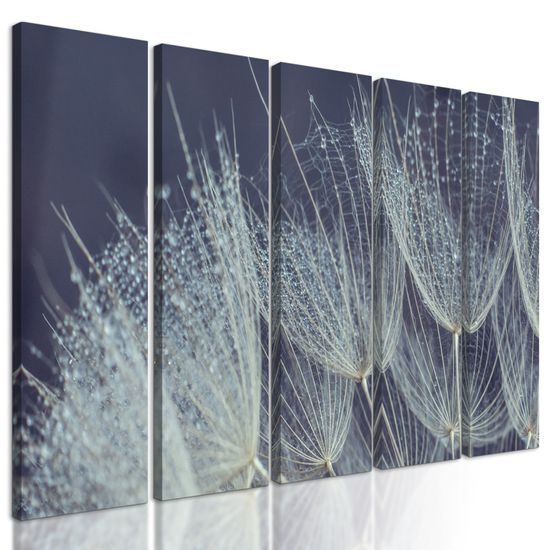 5-dielny obraz detail púpavy