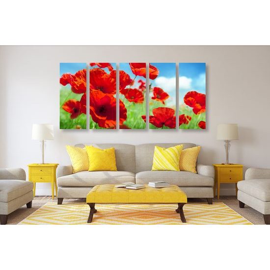 5-dielny obraz lúčne maky
