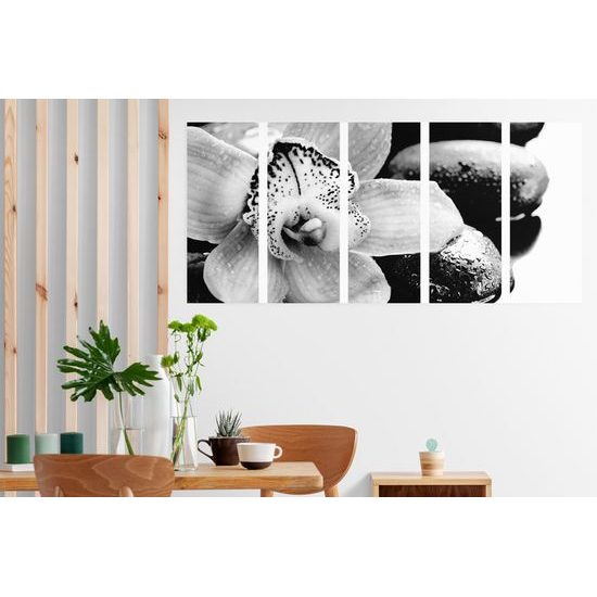 5-dielny obraz čiernobiely kvet orchidei