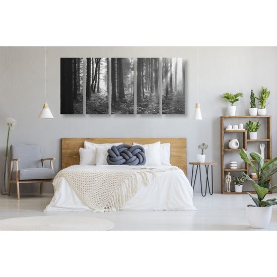 5-dielny obraz slnko predierajúce sa medzi korunami stromov v čiernobielom prevedení