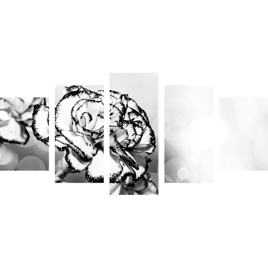 5-dielny obraz nádherný karafiát v čiernobielom prevedení