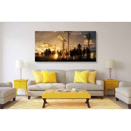 Obraz západ slnka v lese
