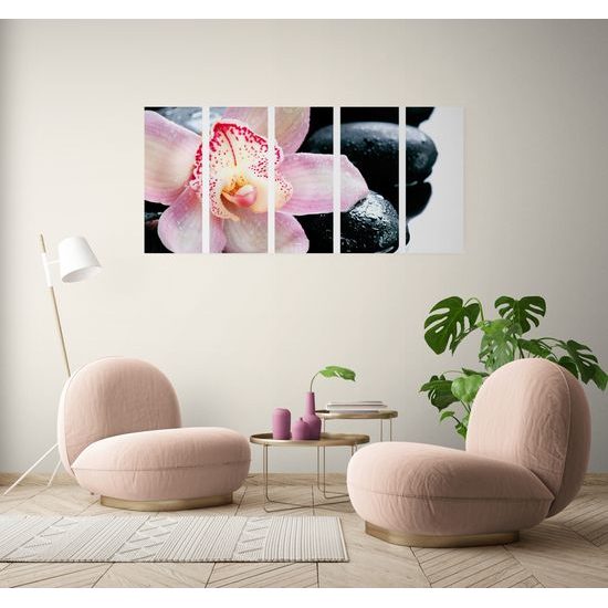 5-dielny obraz ružový kvet orchidei