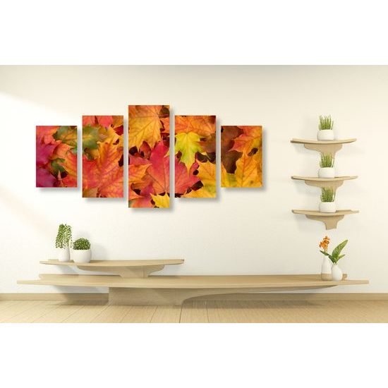 5-dielny obraz jesenné javorové listy