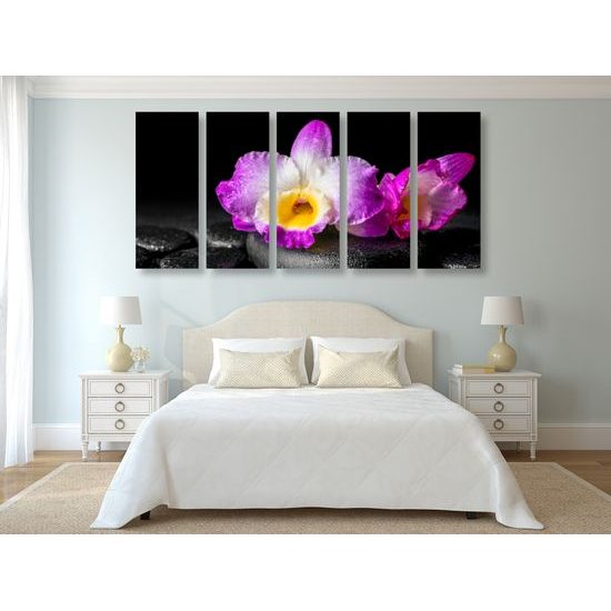 5-dielny obraz krásny kvet orchidei