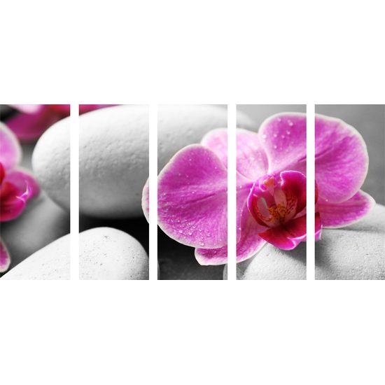 5-dielny obraz biele Zen kamene