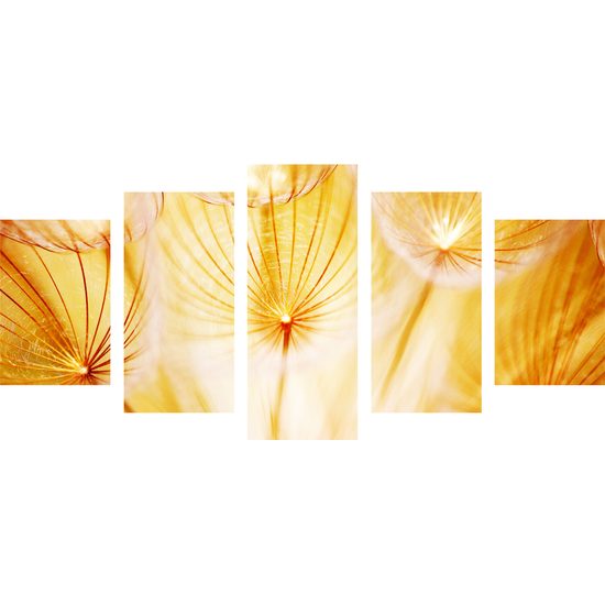 5-dielny obraz abstraktná púpava