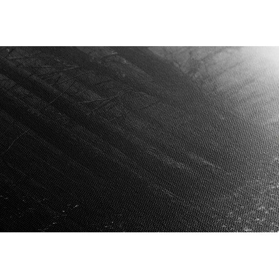 Obraz nádherný čarovný les v čiernobielom prevedení