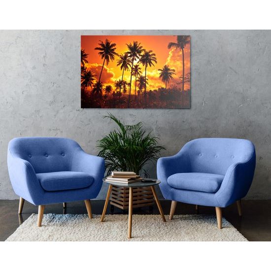 Obraz kokosové palmy v žiare slnka