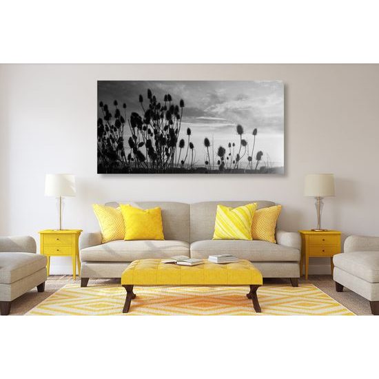 Obraz západ slnka za steblami trávy v čiernobielom prevedení