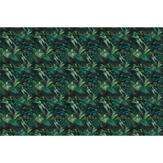 Tapeta nádherný tropický prales