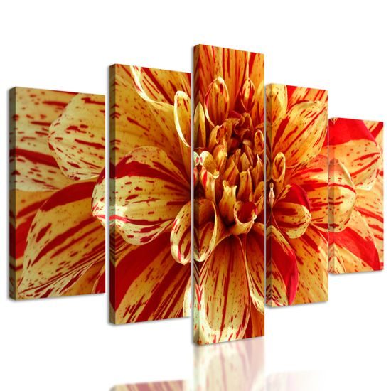 5-dielny obraz ohromná dália
