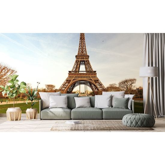 Samolepiaca fototapeta Železná dáma z Paríža