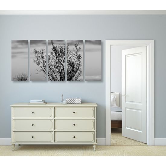 5-dielny obraz bylinky pri západe slnka v čiernobielom prevedení