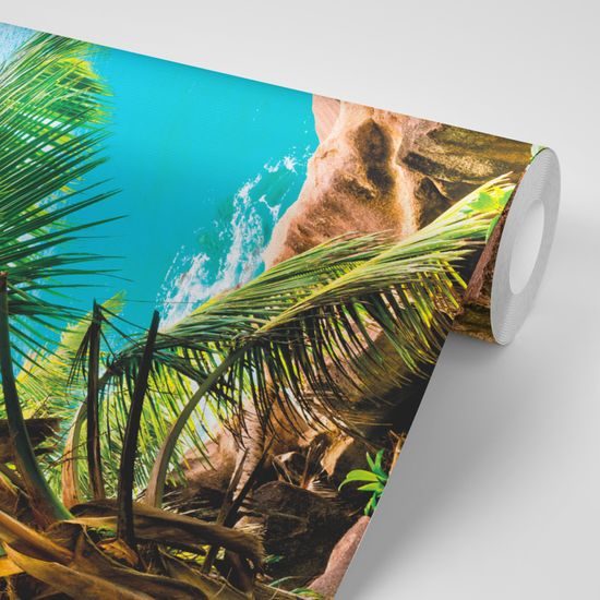 Tapeta plachetnica v tropickom raji