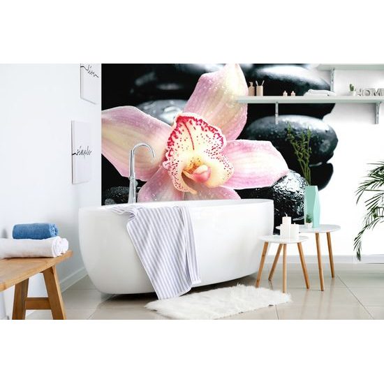 Fototapeta detail tropickej orchidey