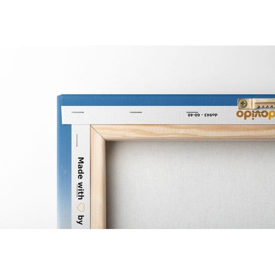 Obraz majestátny palác