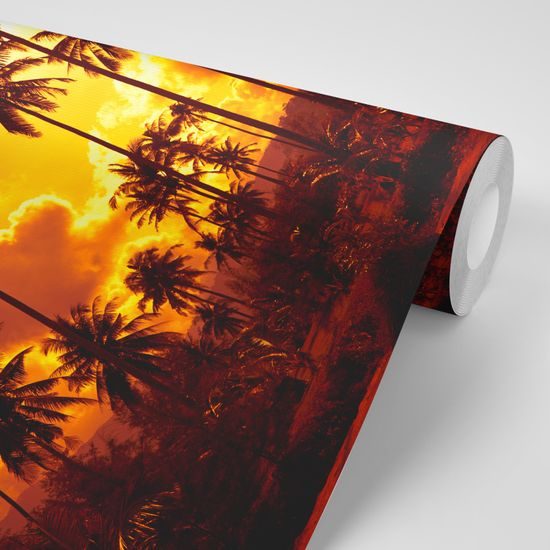 Samolepiaca tapeta kokosové palmy v žiare slnka