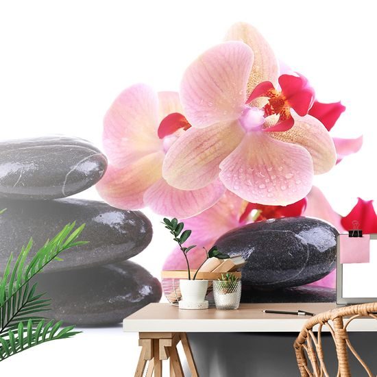 Samolepiaca fototapeta masážne kamene s orchideou