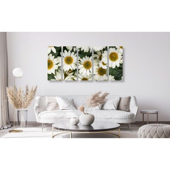 5-dielny obraz uzdravujúci harmanček