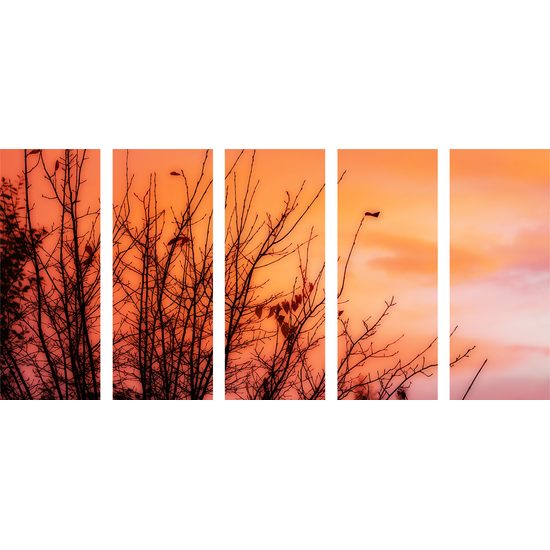 5-dielny obraz oranžová obloha