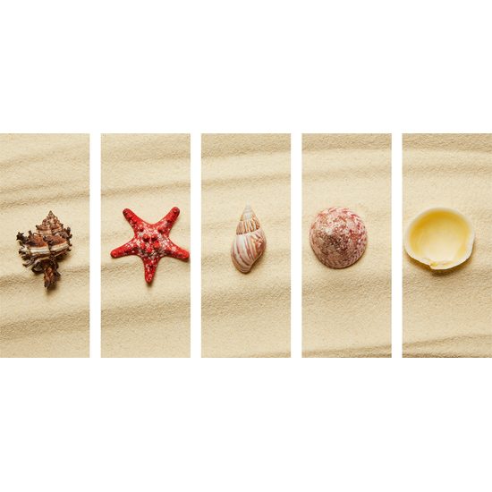 5-dielny obraz zátišie z mušlí na pláži
