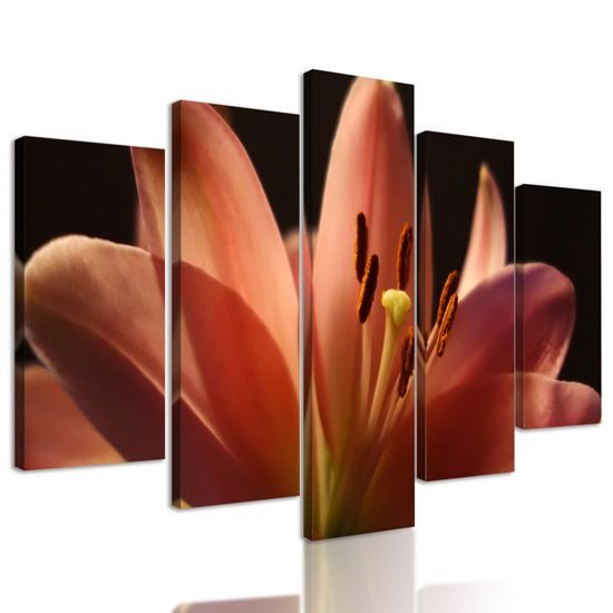 5-dielny obraz dýchberúca ružová ľalia