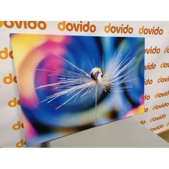 Obraz kvapka s nádherným pozadím