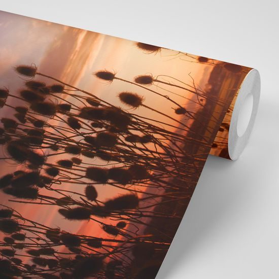 Samolepiaca fototapeta lúky pri zapadajúcom slnku