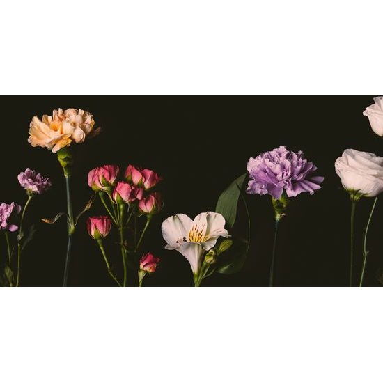 Obraz nádherné kvety