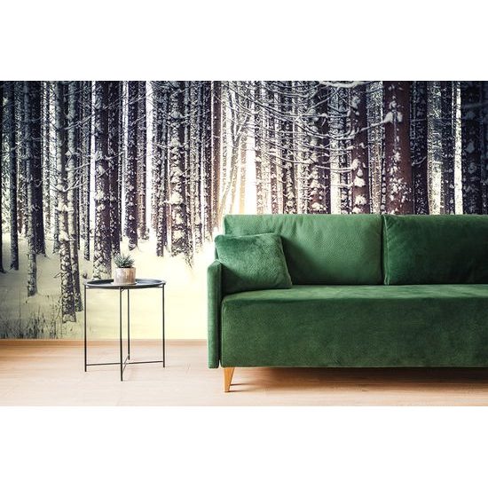 Fototapeta stromy pokryté snehovou nádielkou